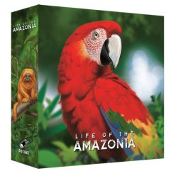Life of the Amazonia társasjáték, angol nyelvű