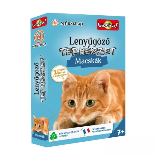 Lenyűgöző természet: Macskák társasjáték