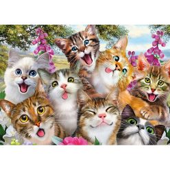 Puzzle 500 db-os - Cica szelfi - Schmidt 58391