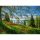 Puzzle 1000 db-os - Tulips flowering - Schmidt 58967