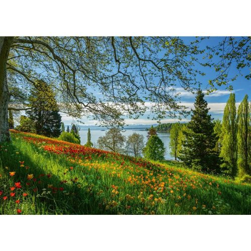 Puzzle 1000 db-os - Tulips flowering - Schmidt 58967